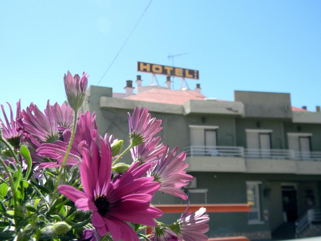 Zuera Hotel Restaurante Las Galias מראה חיצוני תמונה